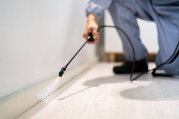 Licensed Cockroach Control service in Shreve, OH - Nex Pest Control