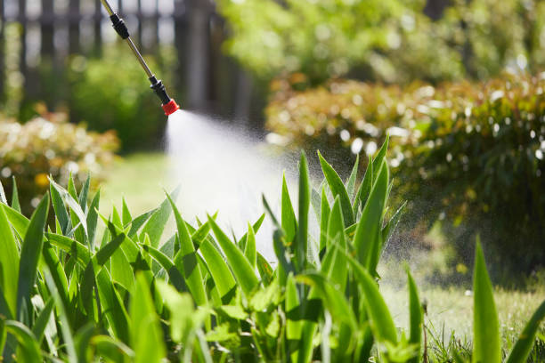 24/7 Emergency Cockroach Control experts in Shreve, OH