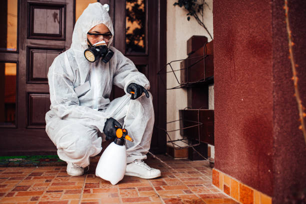 Reliable Cockroach Control contractor in Shreve, OH by Nex Pest Control